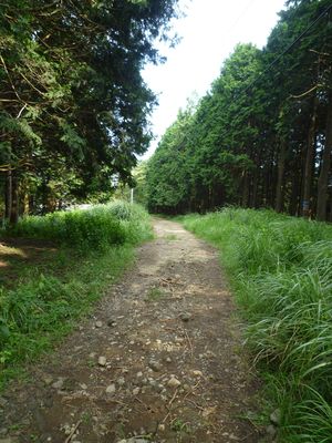 登り_砂利の林道